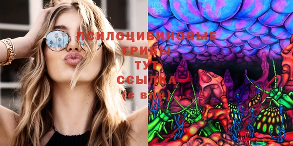 твердый Нягань