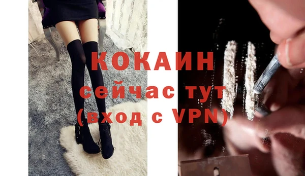 таблы Няндома
