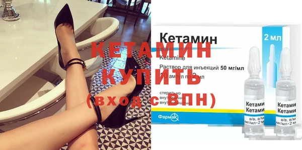 индика Новозыбков