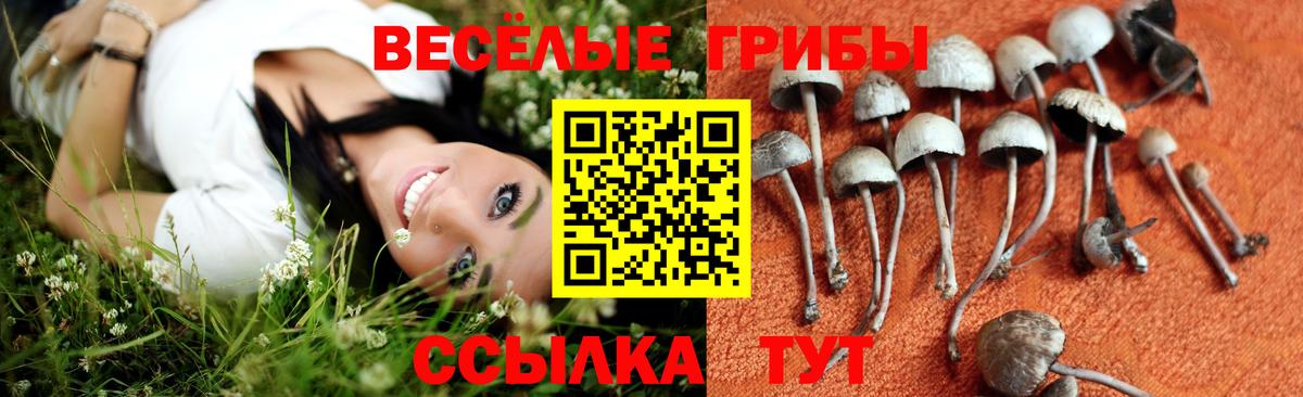 Галлюциногенные грибы Magic Shrooms  Галлюциногенные грибы Psilocybine cubensis  Нальчик  наркошоп  Вход с VPN 