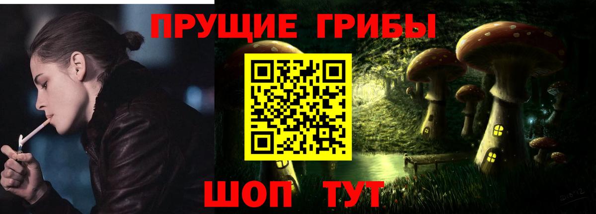 Псилоцибиновые грибы мицелий  Псилоцибиновые грибы мицелий  Нальчик 