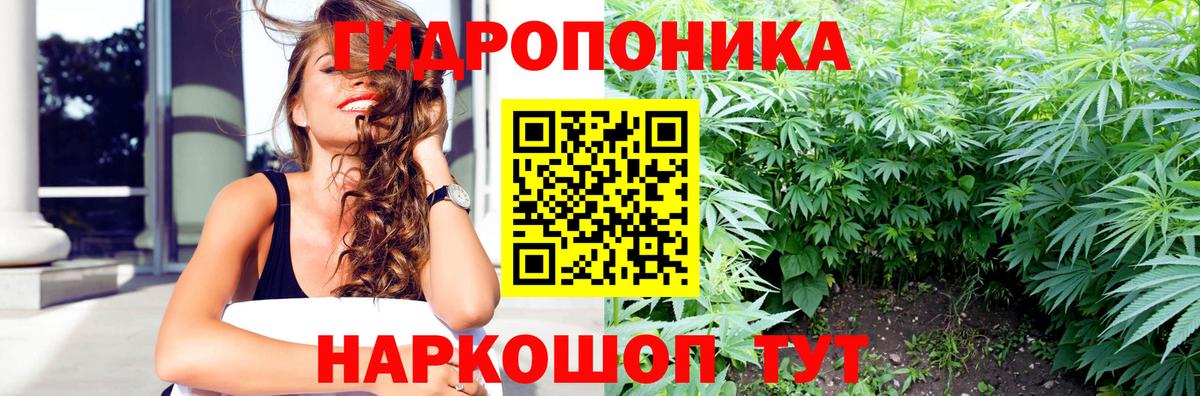 Марихуана White Widow  Вход с VPN  Каннабис тримм  Нальчик  Конопля план 